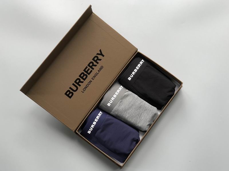 Burberry boxer L-3XL 20 (1)