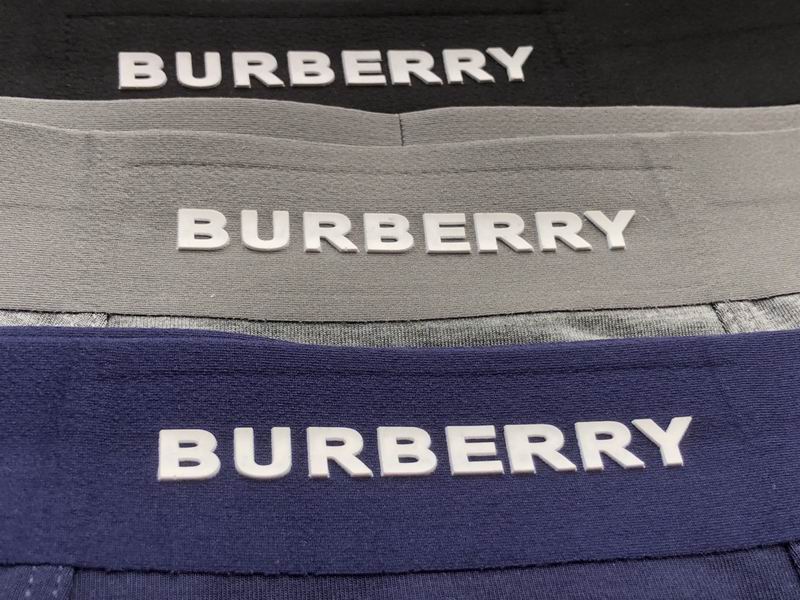 Burberry boxer L-3XL 20 (2)