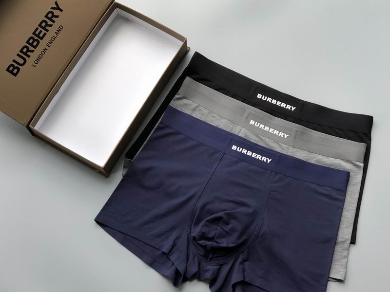 Burberry boxer L-3XL 20 (5)