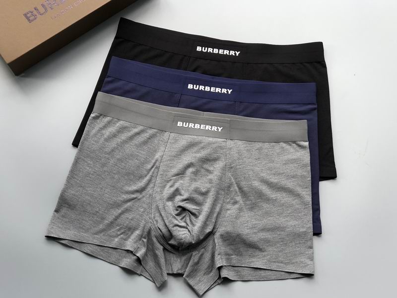 Burberry boxer L-3XL 20 (8)
