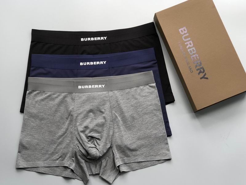 Burberry boxer L-3XL 20 (9)