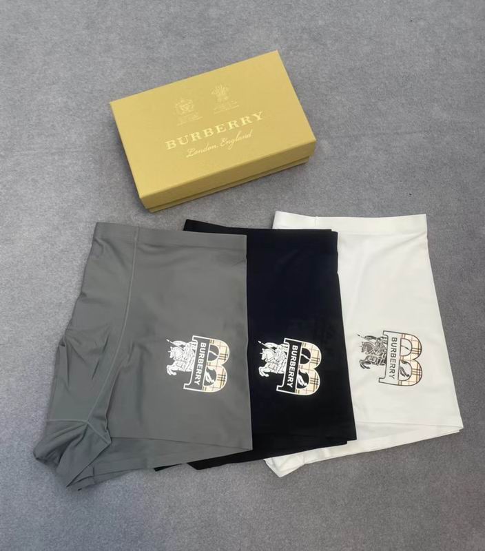 Burberry boxer L-3XL 21 (2)