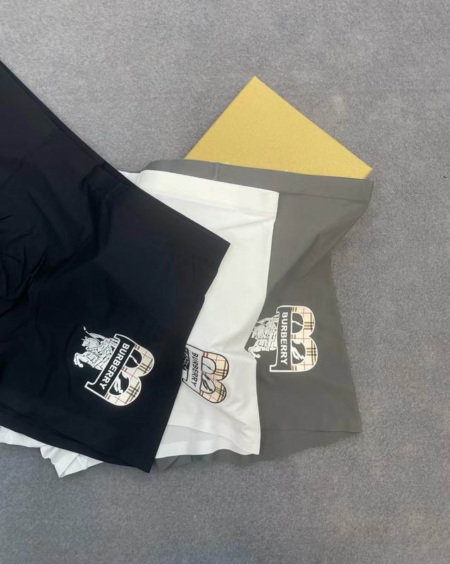 Burberry boxer L-3XL 21 (3)