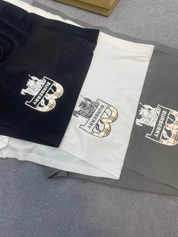 Burberry boxer L-3XL 21 (5)