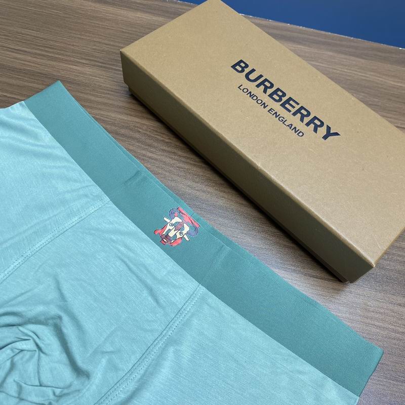 Burberry boxer L-3XL 27 (2)