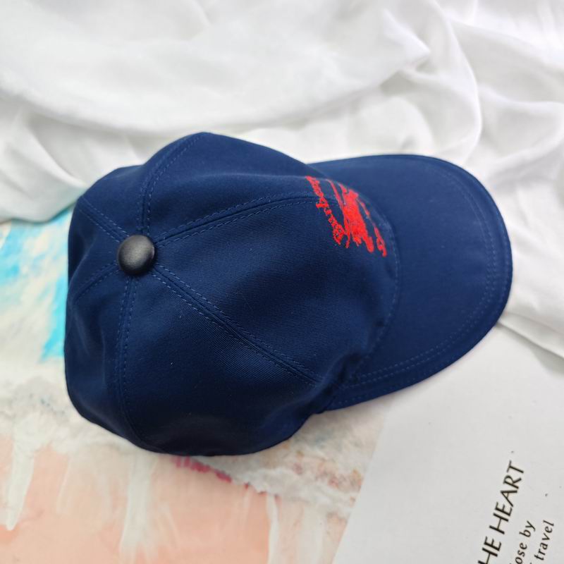 Burberry cap（高版本）dx (35)