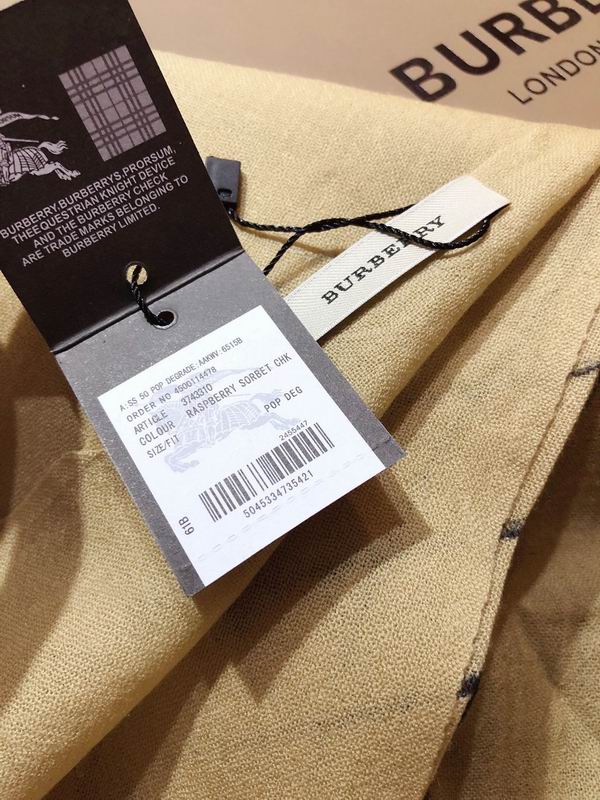 Burberry scarf 100X200cm 100%羊绒 E169 (6)
