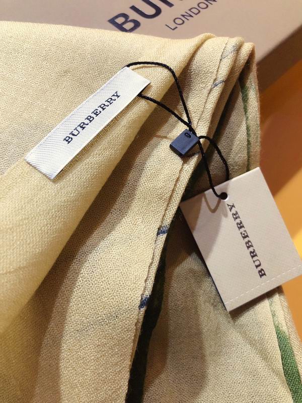 Burberry scarf 100X200cm 100%羊绒 E169 (7)