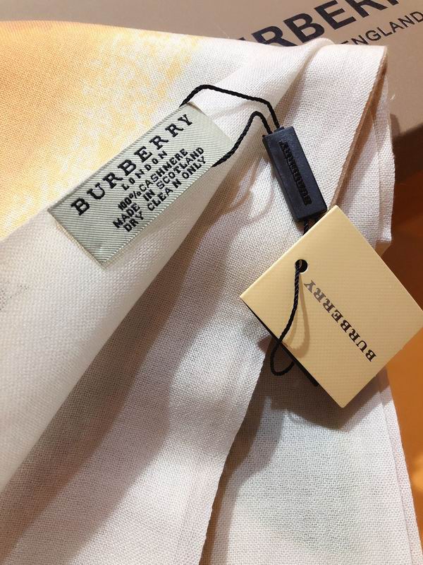Burberry scarf 100X200cm 100%羊绒 E170 (7)