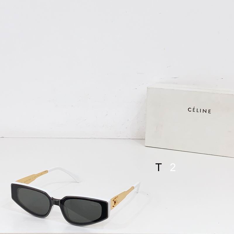 CELINE CL42098U 51 21 145 b03