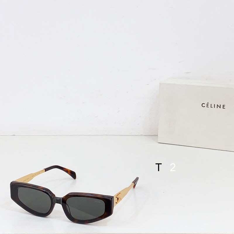 CELINE CL42098U 51 21 145 b05