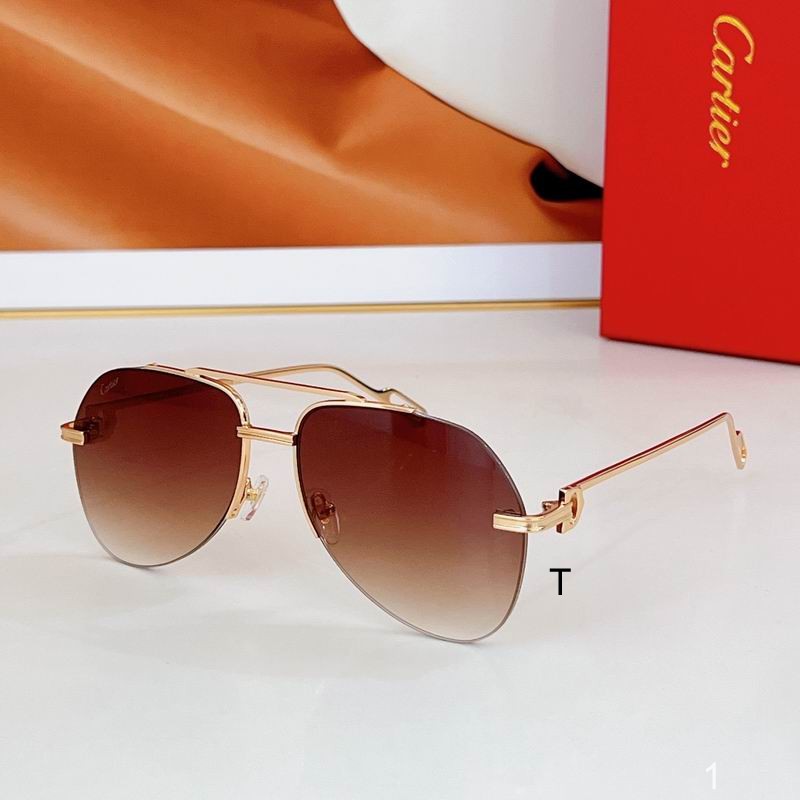 Cartier CT0110 140 a01