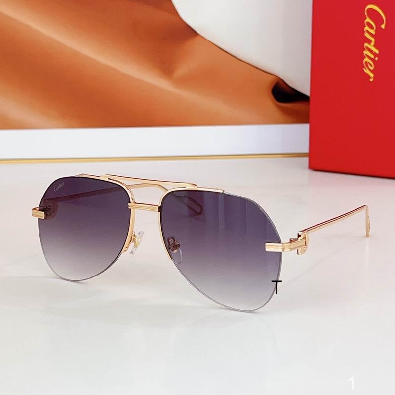 Cartier CT0110 140 a06