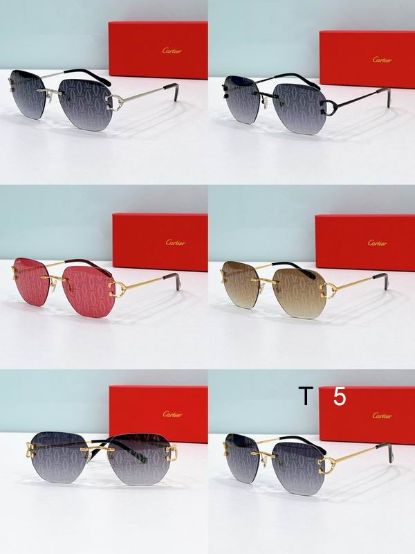 Cartier CT0394S 58 17-145 F08