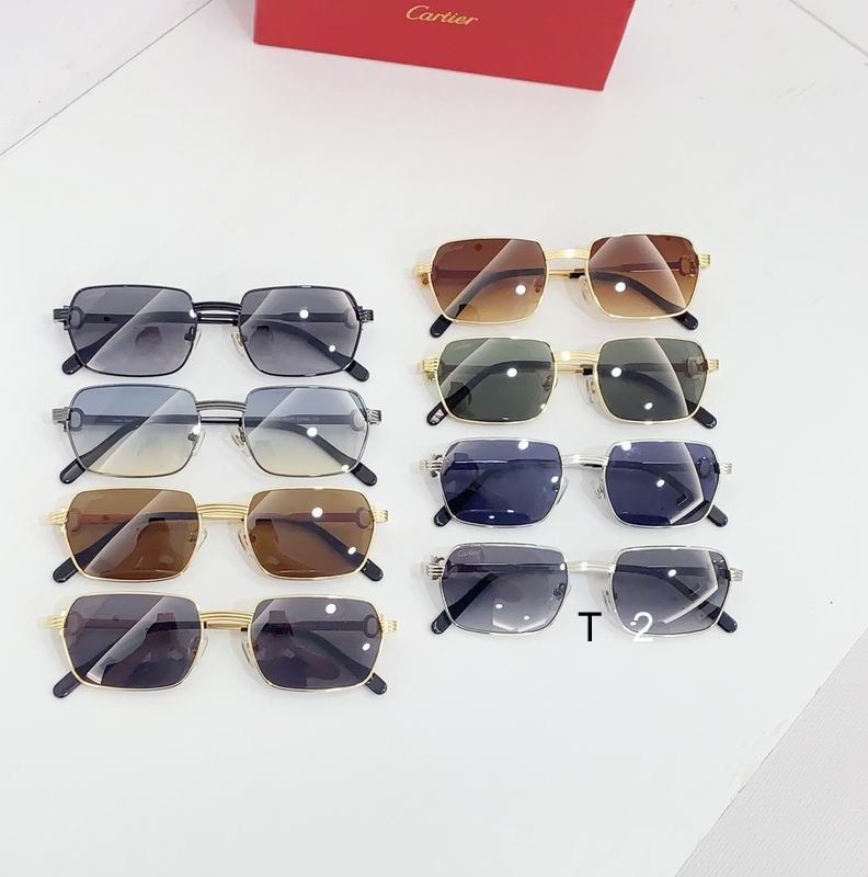 Cartier CT0463S 56 19-145 b19