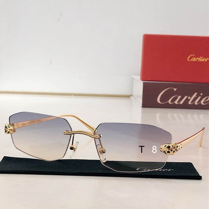 Cartier CT0474S 58 18-140 H04