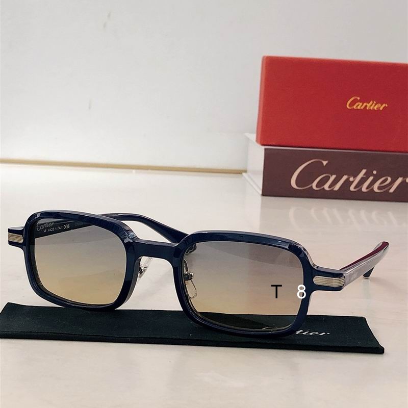 Cartier CT0539S 58 18-137 H02