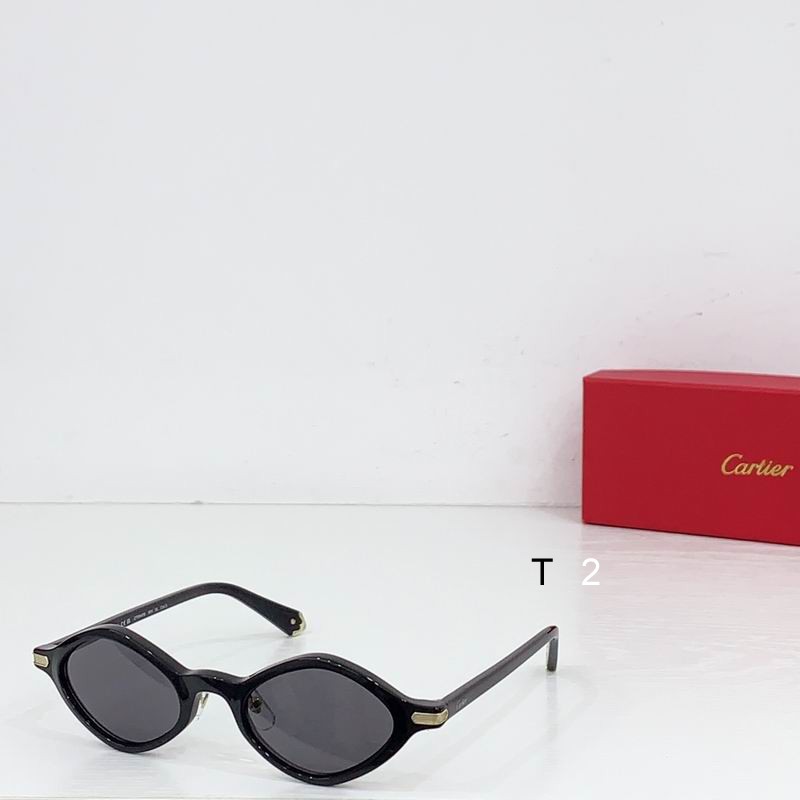 Cartier CT0540S 48 21-145 b02