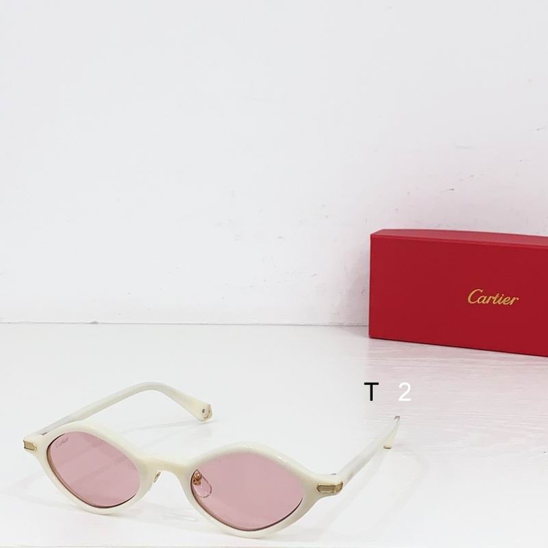 Cartier CT0540S 48 21-145 b04