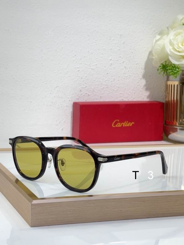 Cartier CT0541S 48 21-145 c02