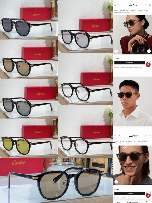 Cartier CT0541S 48 21-145 c10