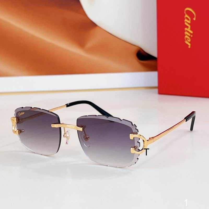 Cartier CT0092O 55 18 135 a07