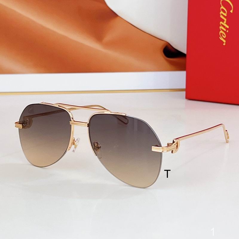 Cartier CT0110 140 a04