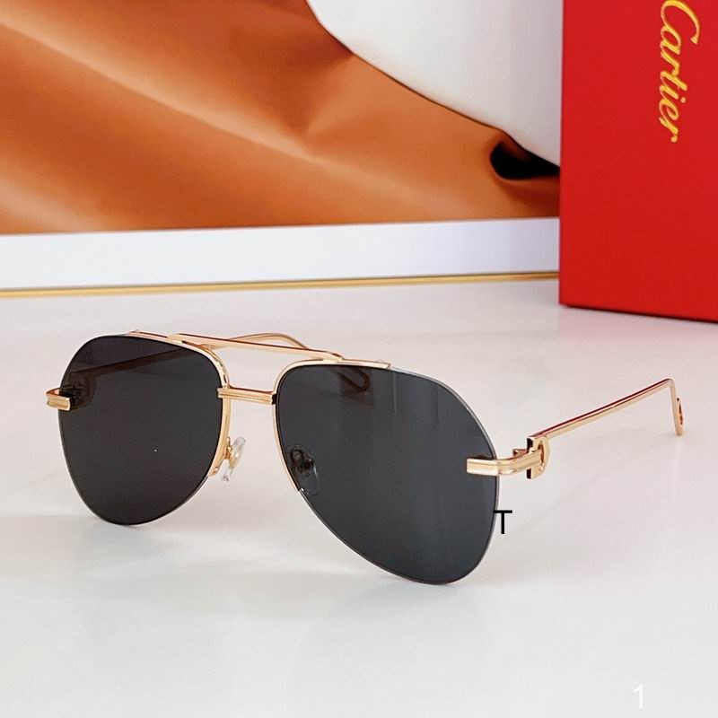 Cartier CT0110 140 a05