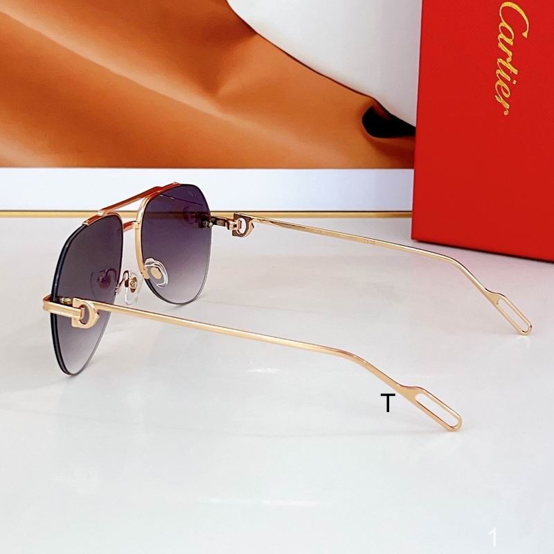 Cartier CT0110 140 a07