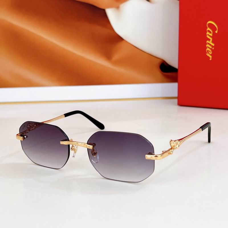 Cartier CT0281 56-17-145 a03