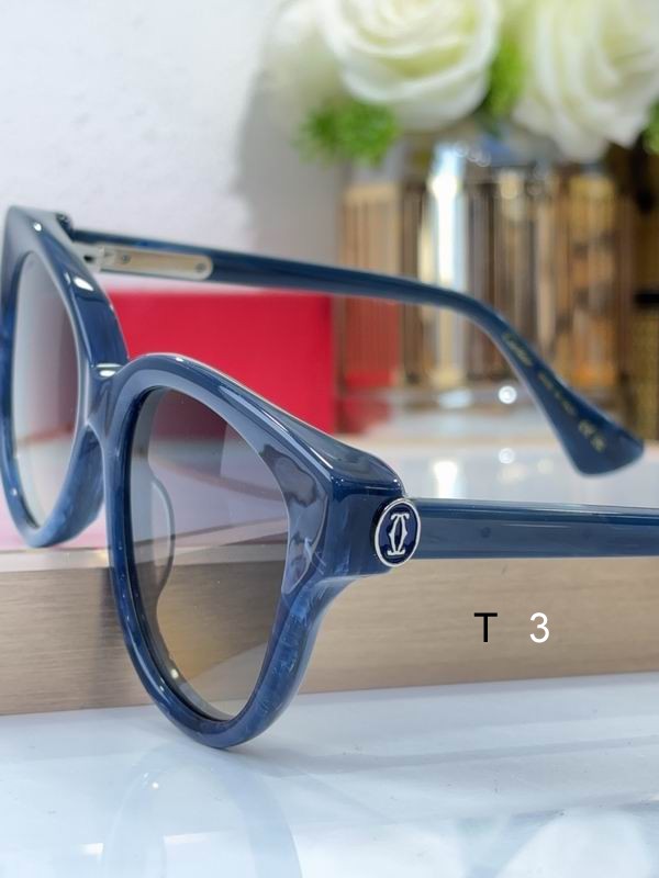 Cartier CT0316 55 19-140 c07