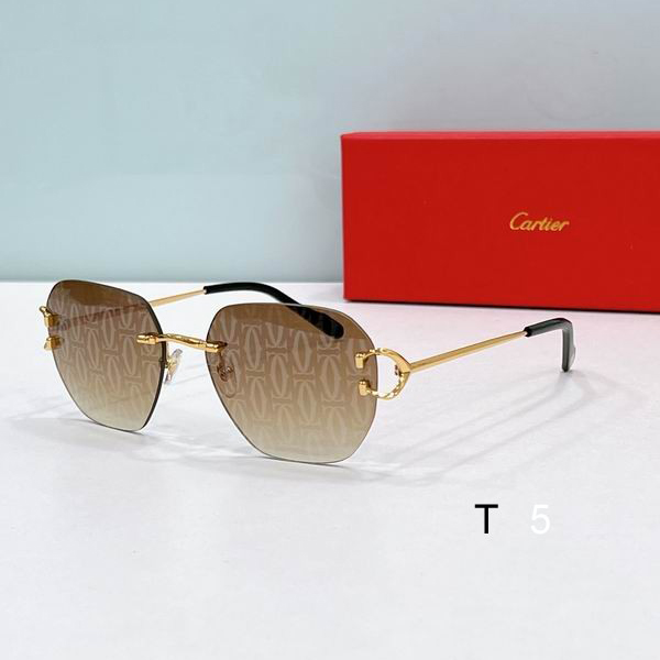 Cartier CT0394S 58 17-145 F02
