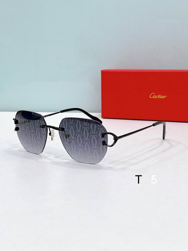 Cartier CT0394S 58 17-145 F04