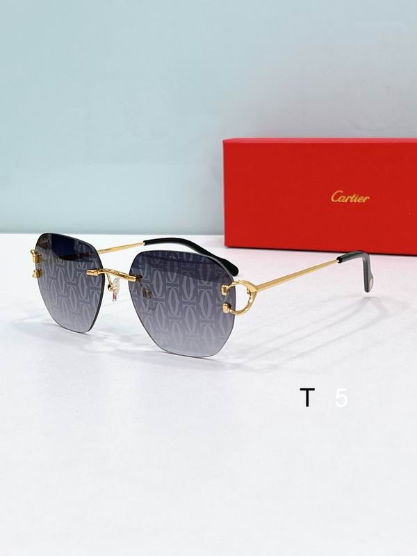 Cartier CT0394S 58 17-145 F05