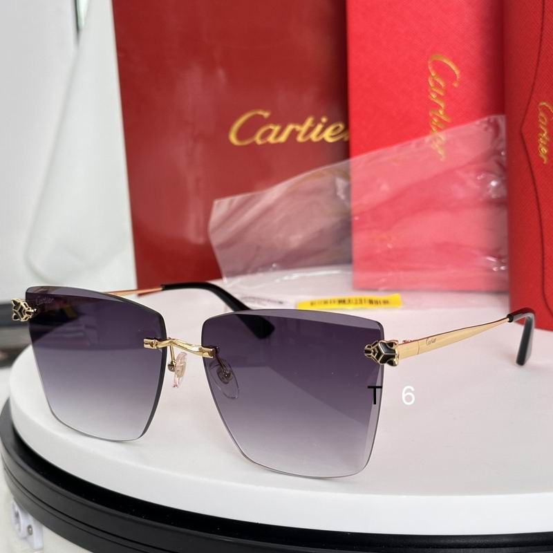 Cartier CT0397S 61 14-140 e02