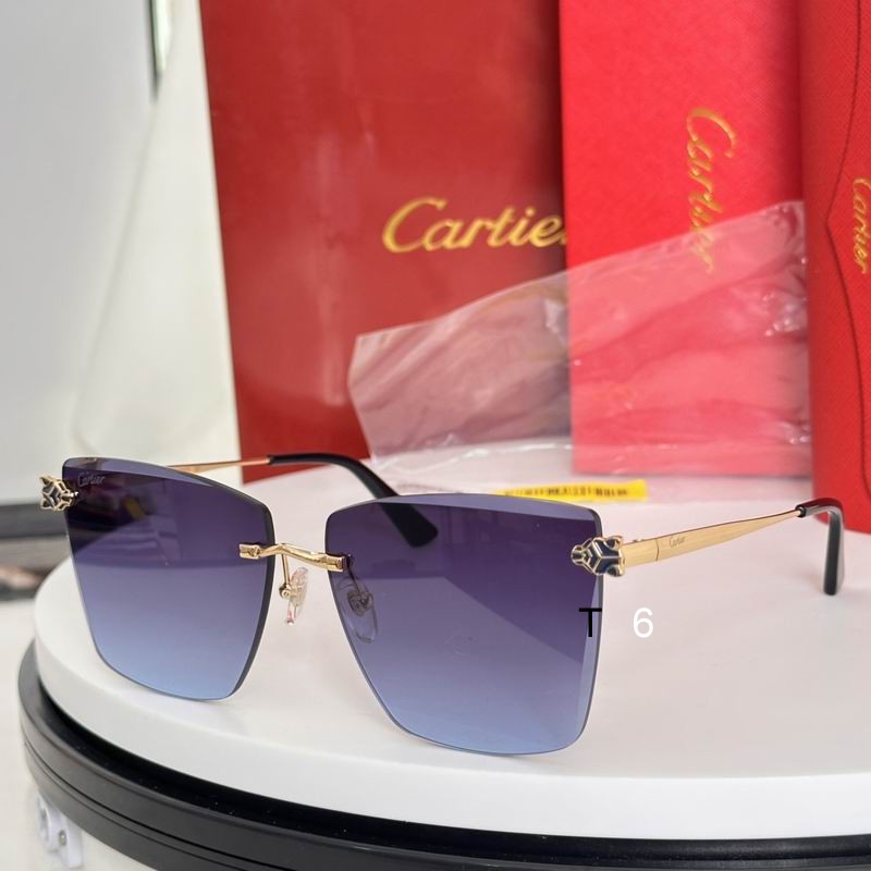 Cartier CT0397S 61 14-140 e03
