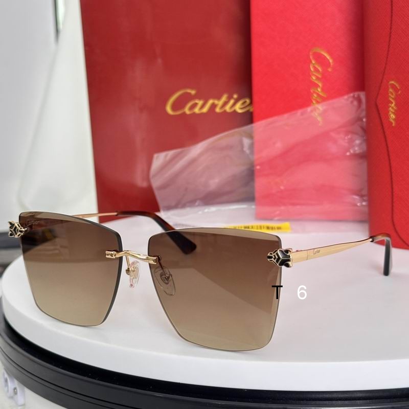 Cartier CT0397S 61 14-140 e04
