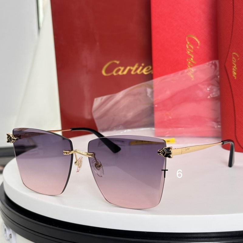 Cartier CT0397S 61 14-140 e05