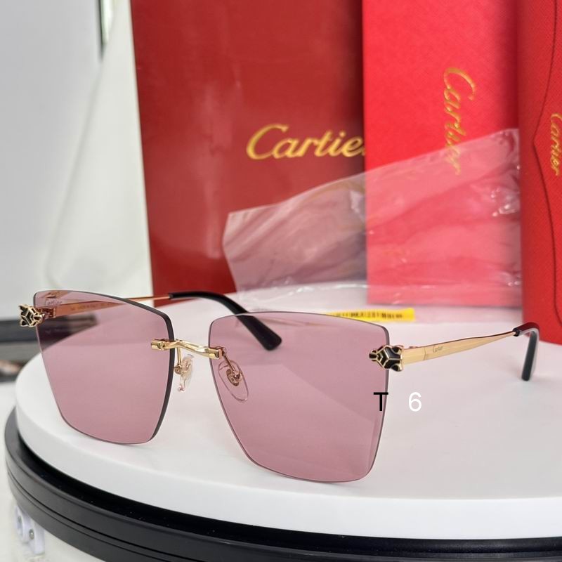 Cartier CT0397S 61 14-140 e06