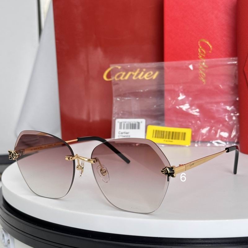 Cartier CT0455S 61 16-140 e04