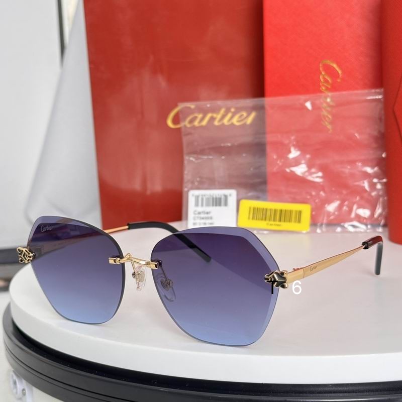 Cartier CT0455S 61 16-140 e05