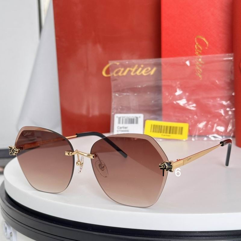 Cartier CT0455S 61 16-140 e06