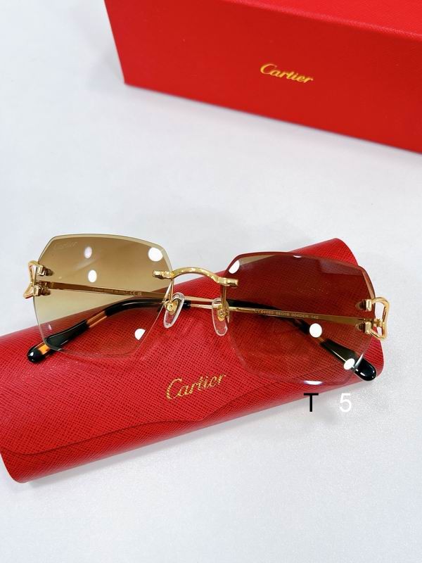 Cartier CT0466S 58 16-145 F01