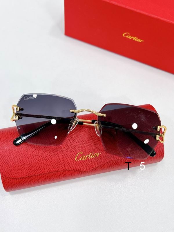Cartier CT0466S 58 16-145 F04