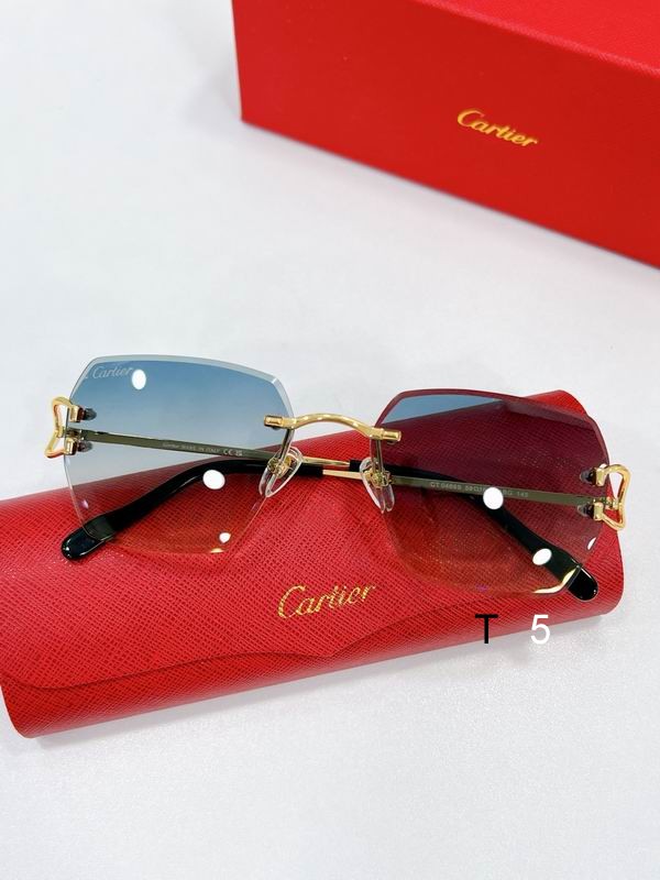 Cartier CT0466S 58 16-145 F05