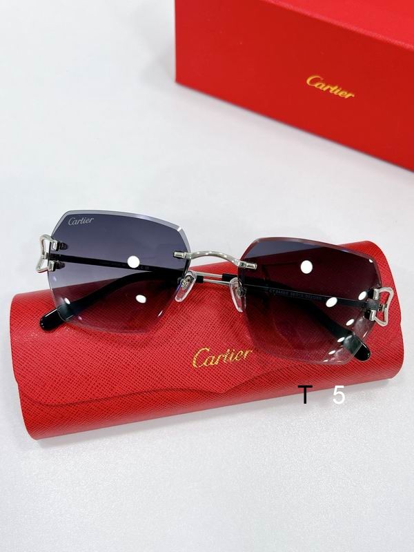 Cartier CT0466S 58 16-145 F07