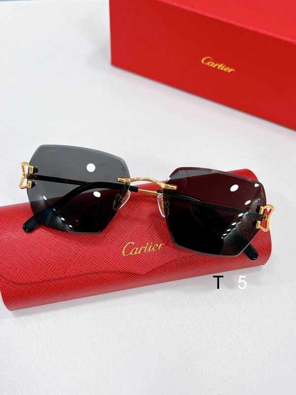 Cartier CT0466S 58 16-145 F09
