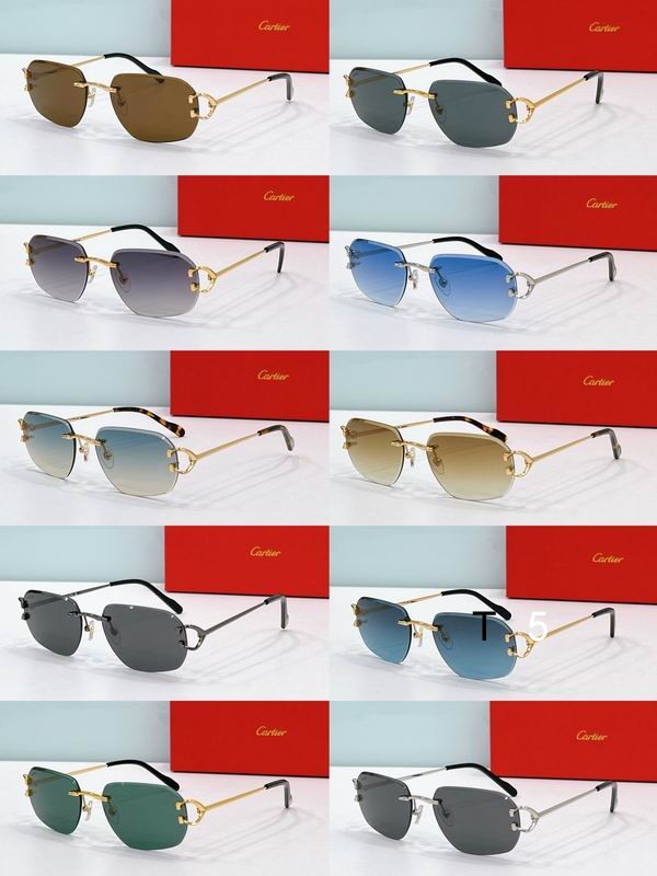 Cartier CT0468S 58 18-145 F10