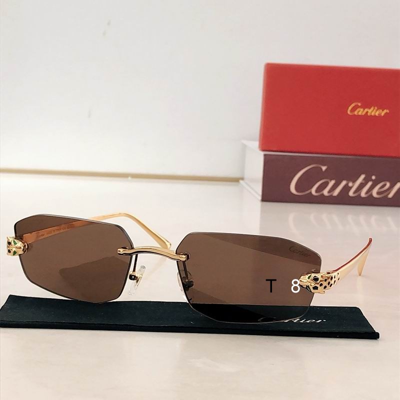 Cartier CT0474S 58 18-140 H02