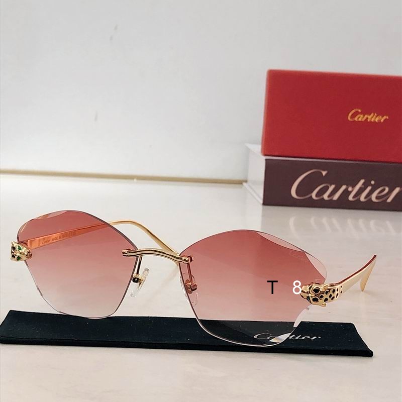 Cartier CT0476S 54 18-140 H01